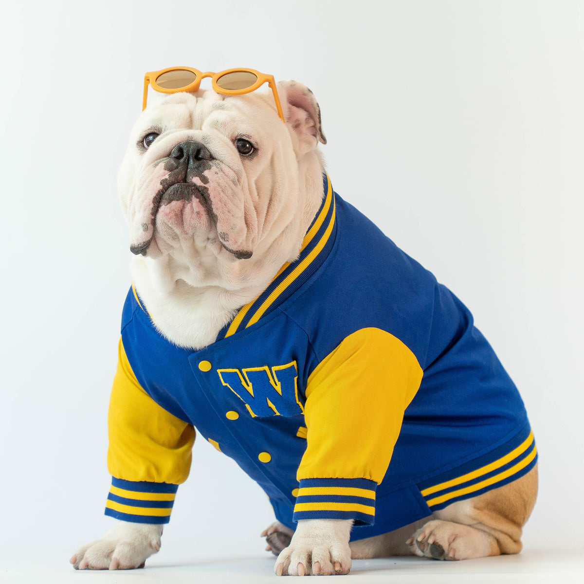 WONTON Varsity Bomber Jacket in blue and yellow