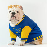 WONTON Varsity Bomber Jacket in blue and yellow