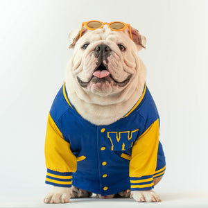 WONTON Varsity Bomber Jacket in blue and yellow Wonton Collection WONTON Varsity Bomber Jacket in blue and yellow Wonton Collection