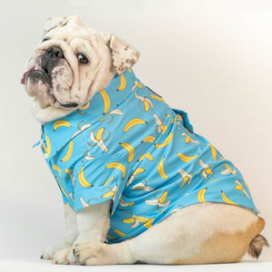 WONTON DESIGN Banana shirt with short sleeve in blue (Pima cotton)