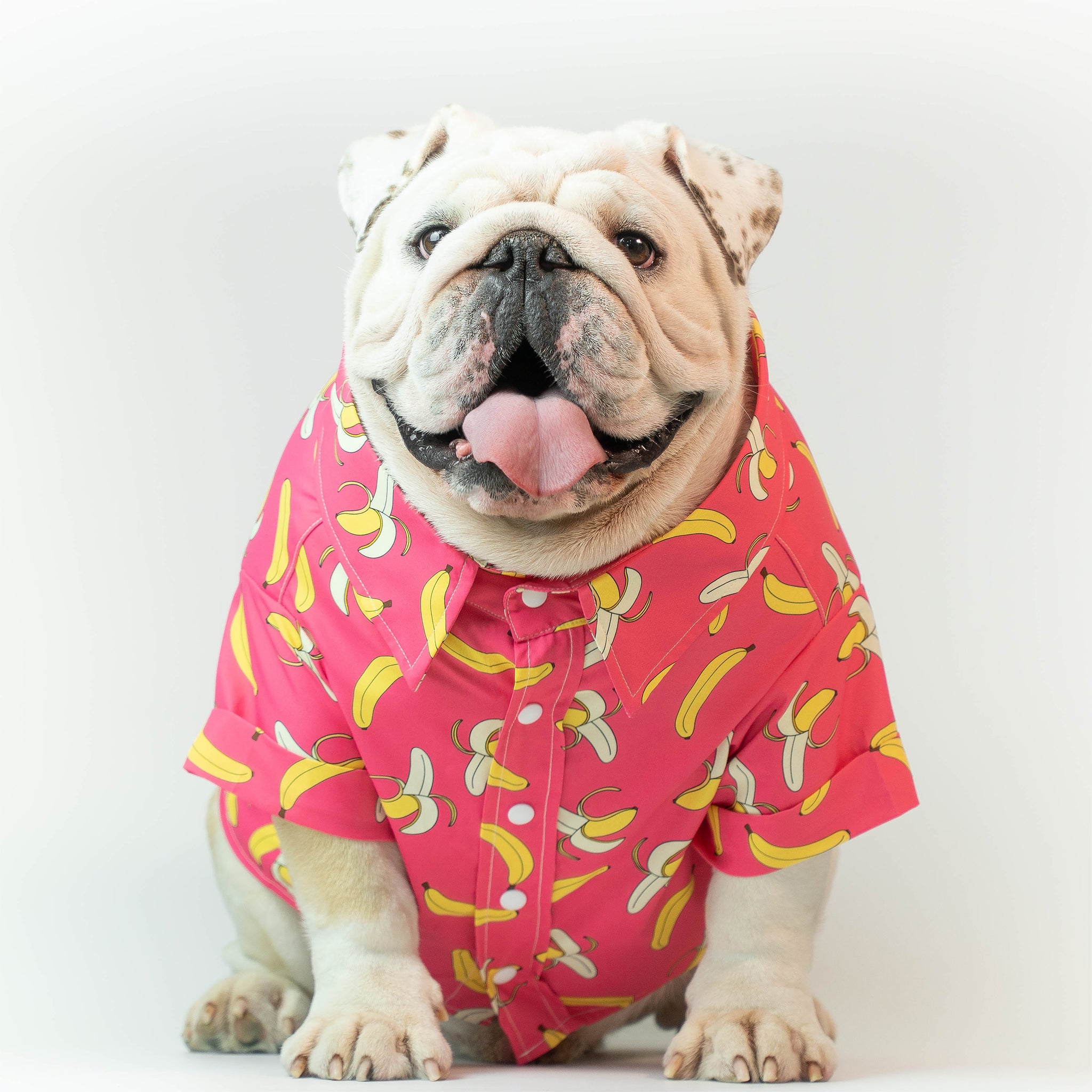 WONTON DESIGN Camisa banana de manga corta en color rosa (algodón Pima)