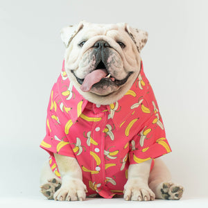 WONTON DESIGN Banana shirt with short sleeve in pink (Pima cotton)