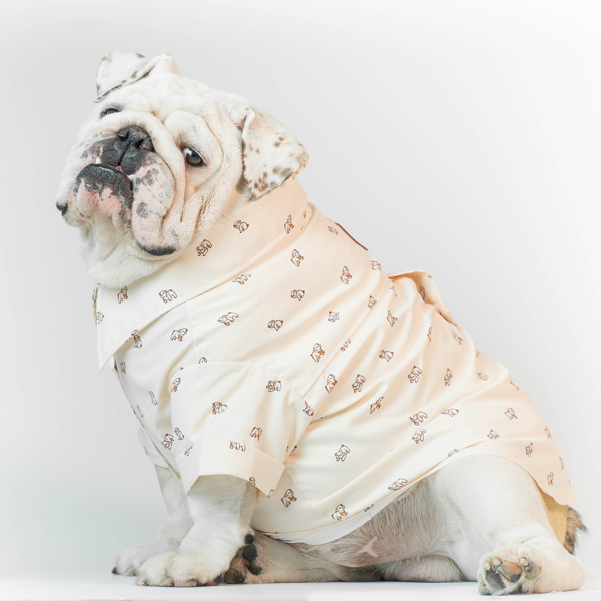 WONTON DESIGN Bulldog shirt with short sleeve (Pima cotton)