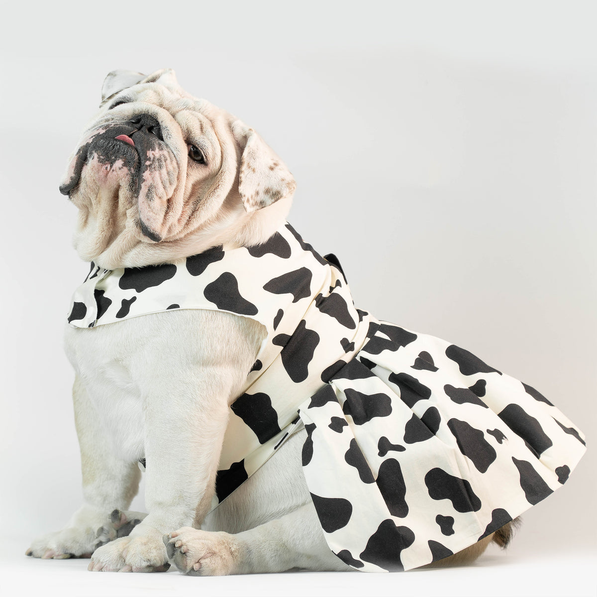 WONTON Cowgirl Dress