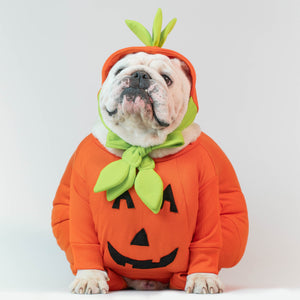 Pet Halloween Pumpkin Costume