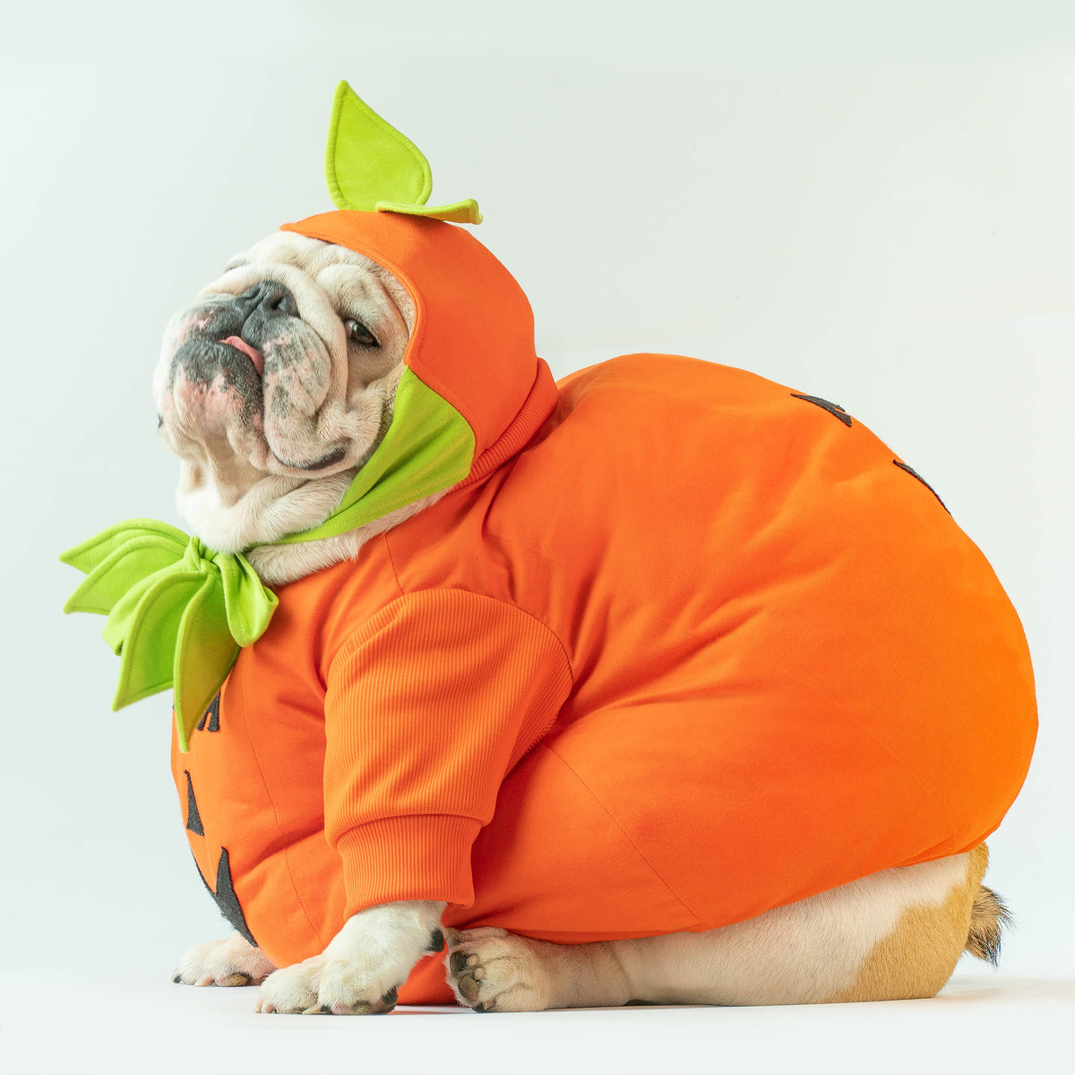WONTON LITTLE PUMPKIN Outfit Version 2(HALLOWEEN LIMITED EDITION)