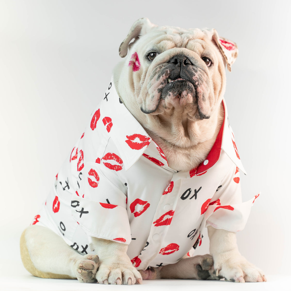 WONTON Kiss to Kiss shirt with long sleeve (Pima cotton)