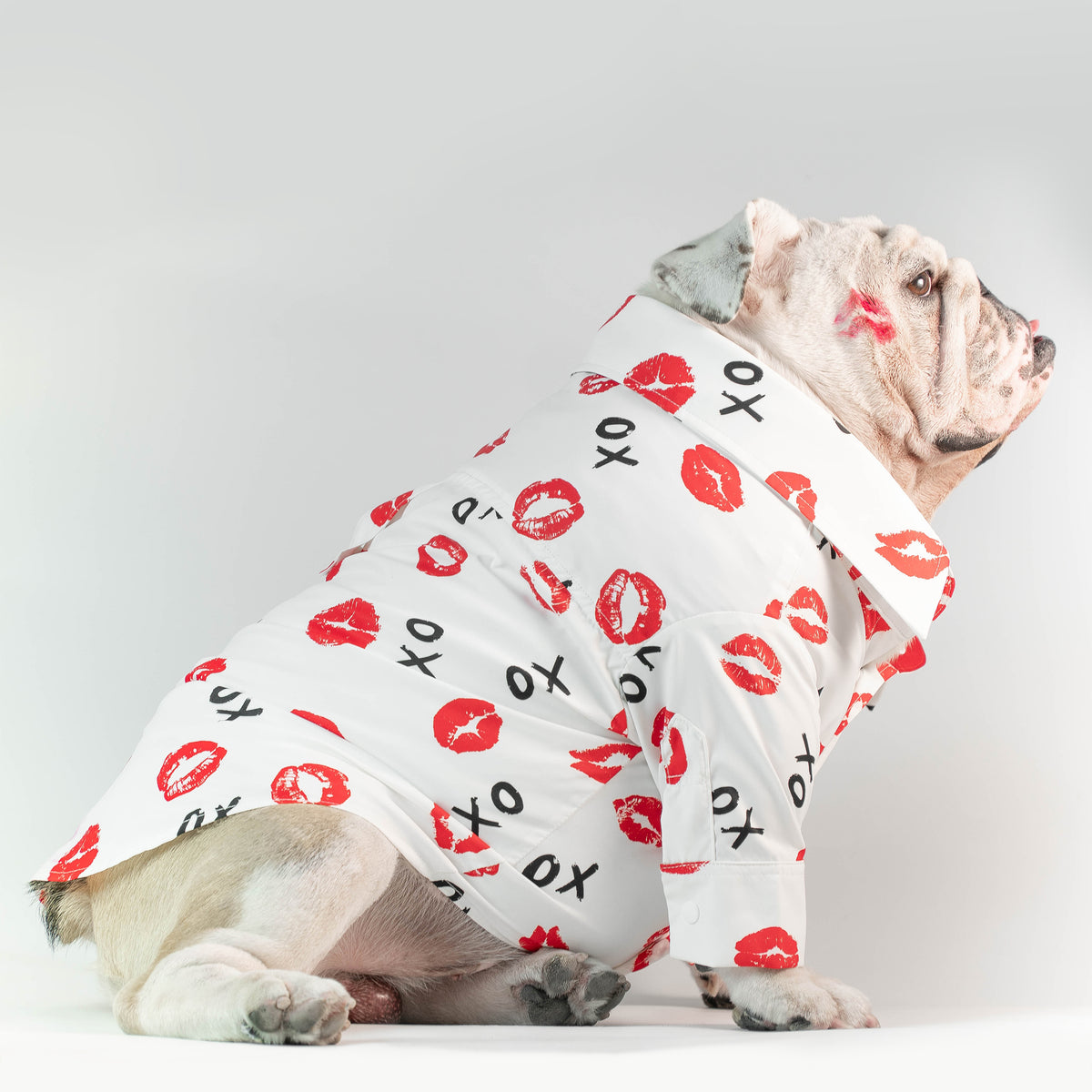 WONTON Kiss to Kiss shirt with long sleeve (Pima cotton)