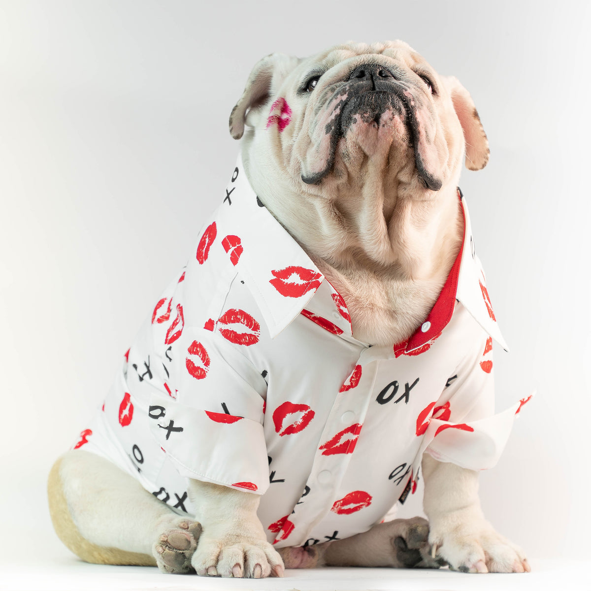 WONTON Kiss to Kiss shirt with long sleeve (Pima cotton)
