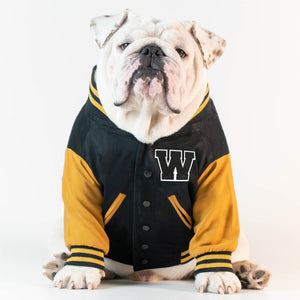 WONTON VARSITY BOMBER Jacket in black and yellow (Customizable Chest Letter)