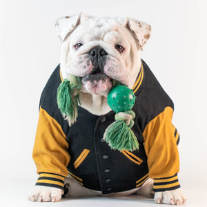 WONTON VARSITY BOMBER Jacket in black and yellow (Customizable Chest Letter) - WontonCollection